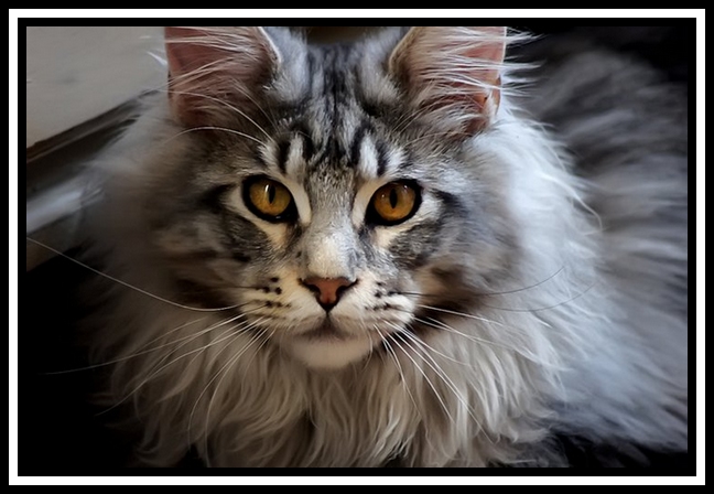 Mon copain est inscrit sur des sites de rencontres